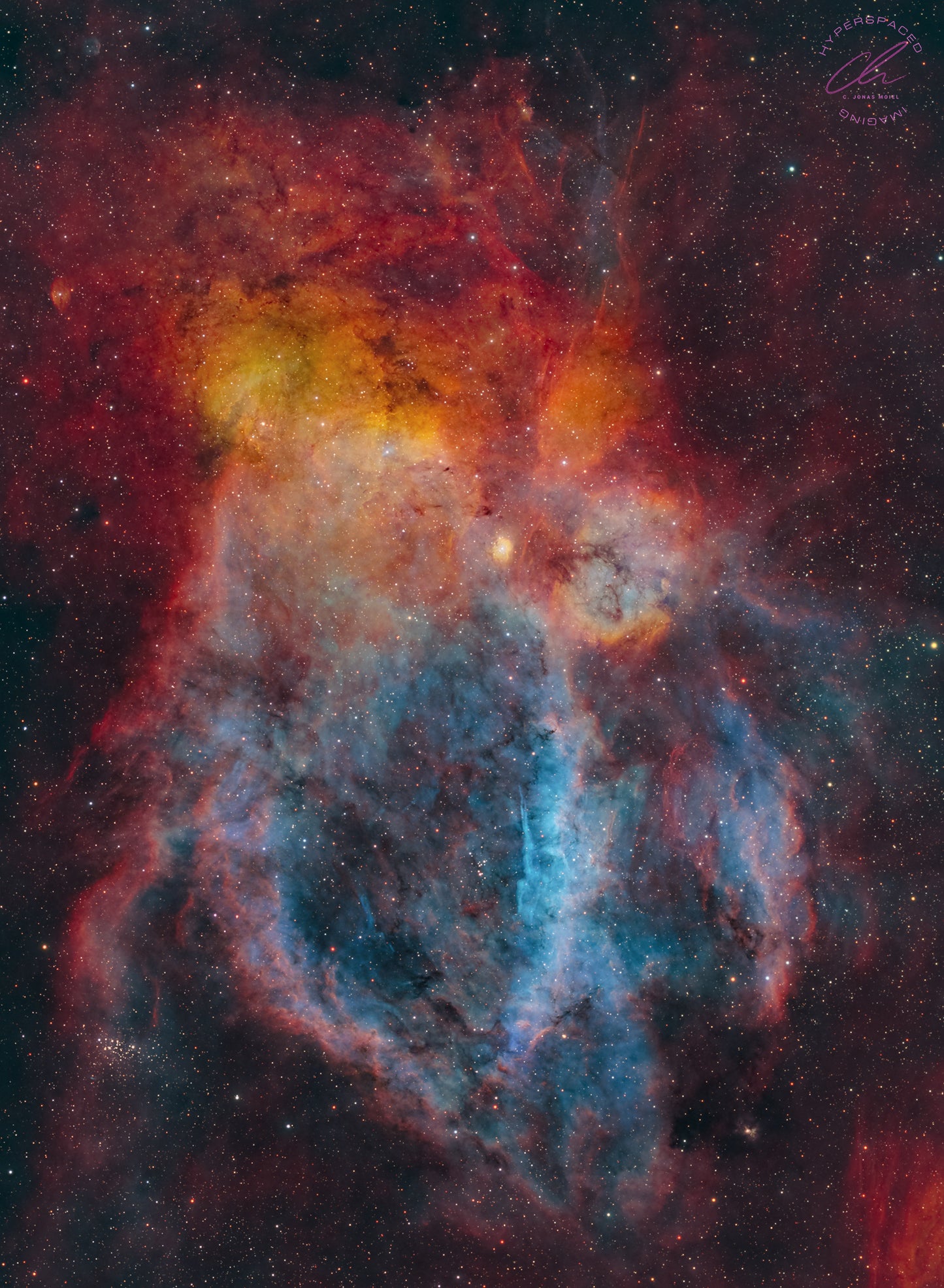 Print - The Lobster Claw!